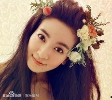 爆料娱乐圈李晟是谁啊,揭秘李晟的真实身份与背景